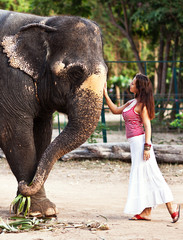 Young pretty woman with elephant in Thailand