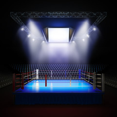 Empty professional boxing ring.