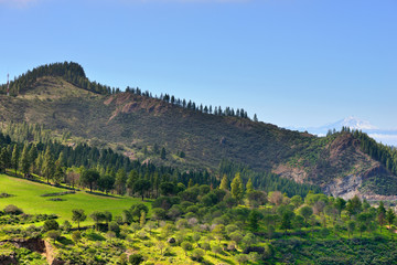 Fototapeta na wymiar Grand Canaria landscape