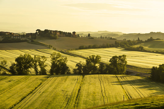 Italy. Tuscany. Rural landscape at dawn