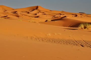 Fototapeta na wymiar Pustynia w Maroko Merzouga