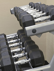 Fitness equipment - Dumbbells on rack in Gym