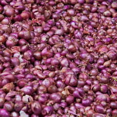 Red onions as a background