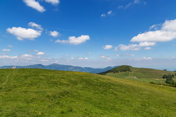 paysage Alsacien