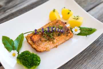 Gebratener Lachs