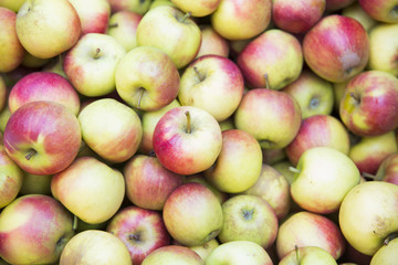 Äpfel auf einem Wochenmarkt
