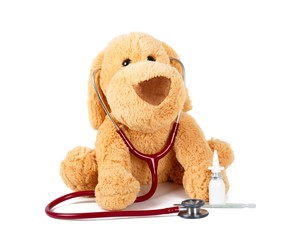 Doctor Teddy's Checkup