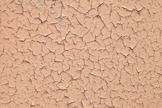pintura rosa seca agrietada 5694-f14