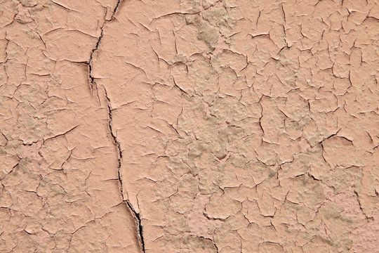 pintura rosa seca agrietada 5695-f14