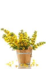 bouquet with loosestrife in wooden bucket