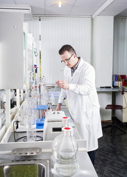 Laboratory assistant works in chemical laboratory