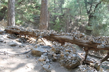 samaria gorge