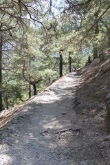 samaria gorge