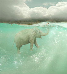Submarine elephant