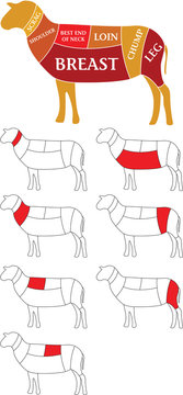 Lamb cuts diagram, UK