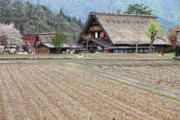 Fototapeta na wymiar Shirakawa-go - village in Japan