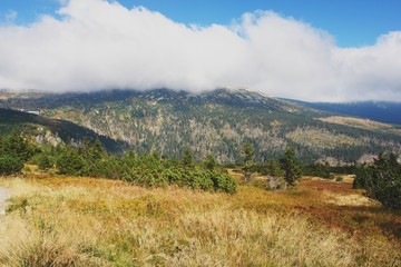 Autumn in the Krkonose mountains, Czech Republic