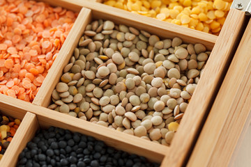 dried lentils