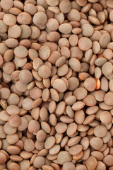 dried lentils