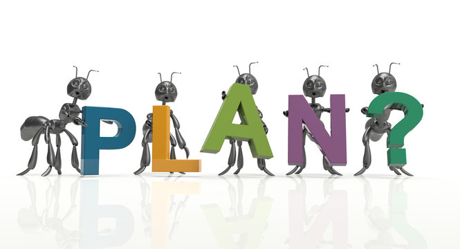 Plan team-black ants-concept
