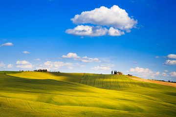 Tuscany, farmland and cypress trees, green fields. Pienza, Italy