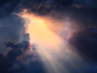 Papier Peint photo autocollant Ciel Oiseau en vol au-dessus dans un ciel dramatique
