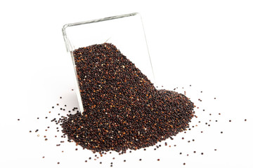 Quinoa schwarz