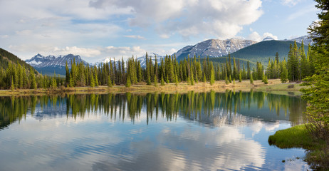 Forgetmenot Pond Panorama