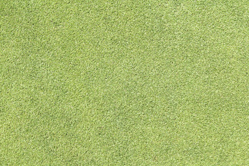 Green golf grass for  background