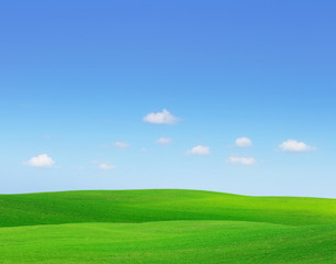 Fototapeta premium Green hills.