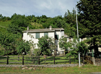 cottage in the woods