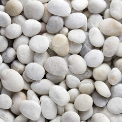 white small stones, pebbles, rocks for background or texture
