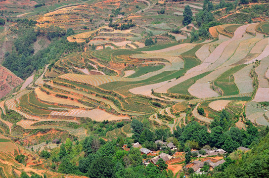 Fototapeta Terraced fields in Yunnan Province, China