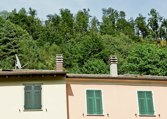 House in the woods