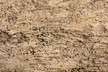 Old wood texture