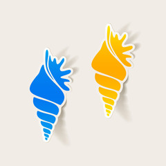 realistic design element: shell