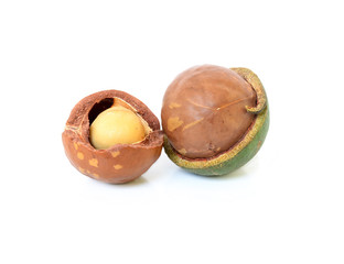 macadamia nuts on white background