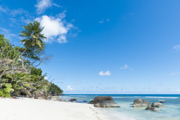 beach of tropical island