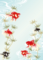 金魚の背景