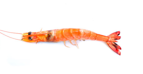 Shrimp on white background.