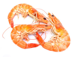 Shrimp on white background.