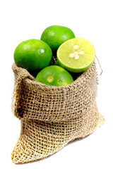 Fresh organic lime on white background.
