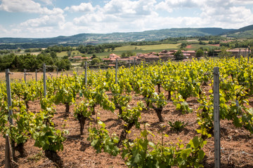 Boudes, village vigneron, Auvergne