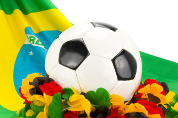 Naklejka premium Brasilien