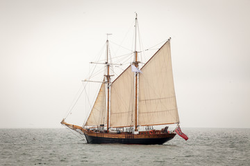 Fototapeta na wymiar Stary statek z białymi sprzedaży, żeglarstwa w morzu