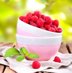 frisch gepflückte Himbeeren im Garten