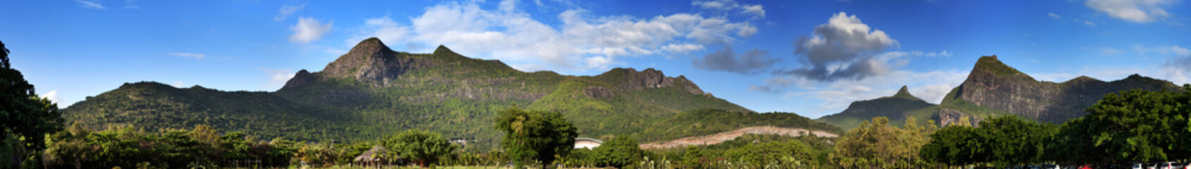Fototapeta na wymiar Nature of Mauritius. Wood and mountains, panorama