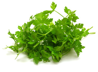 Fresh green parsley