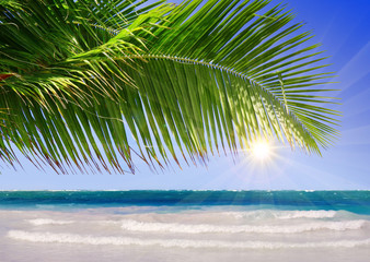 Fototapeta na wymiar Caribbean beach and sun shining. 