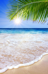 Caribisch strand en zon schijnt.
